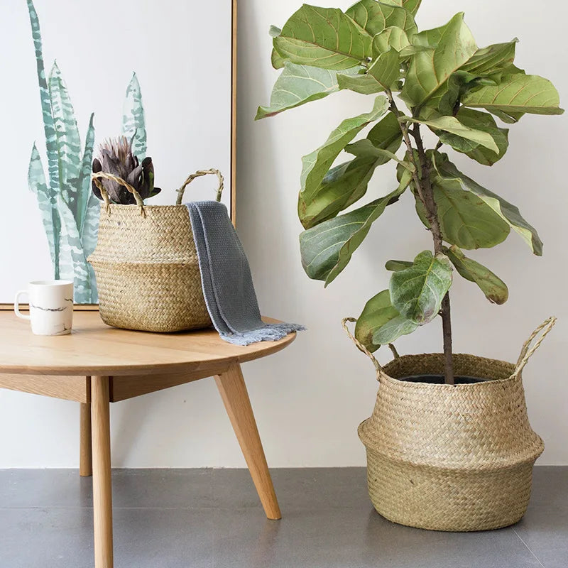 🌿 Natural Storage Baskets – Straw, Wicker, Rattan & Seagrass for Stylish Home & Garden Organization