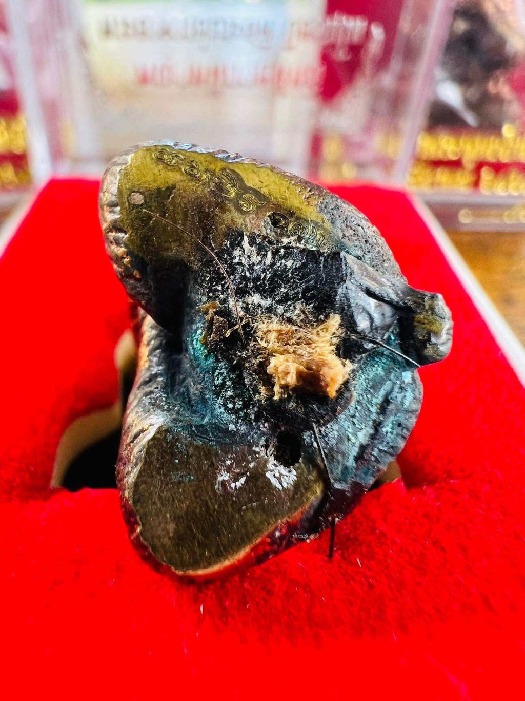 🌟 Powerful Phaya Mee Kai Sit﻿ Amulet by Phra Ajarn Prasuti – Ancient Magical Beast Talisman from Wat Nai Tao, Trang 🌟