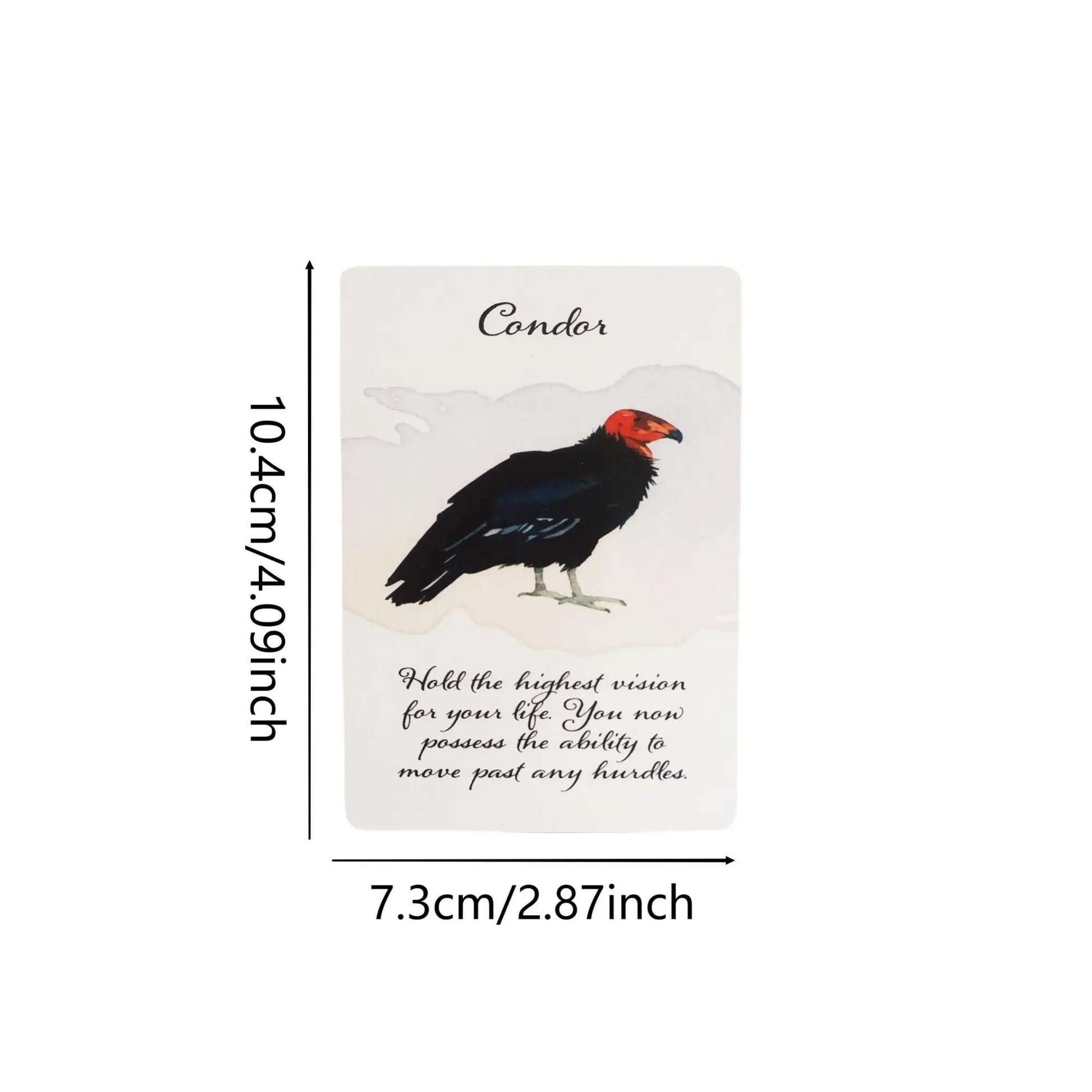 🔥Divine Feather Messenger Tarot Oracle Cards | 44 Bird Symbolism Cards, 10.4x7.3cm for Divination & Board Games