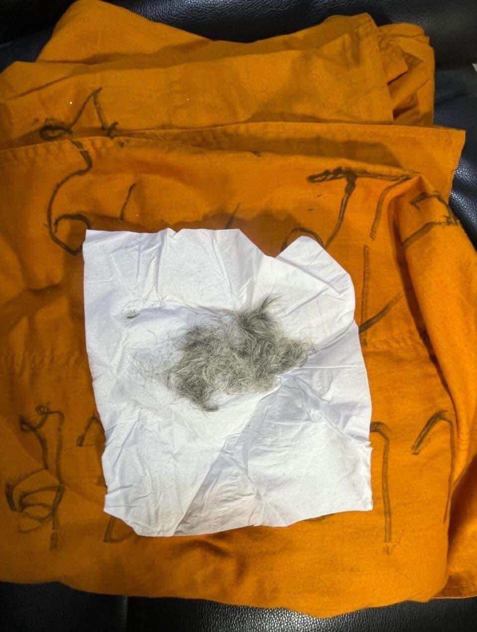 🌟 Sacred Takrut Jiwr Kwan with Sacred Hair﻿ Blessed by Luang Pu Phaew – 67th Teacher Worship Ceremony Edition, Authentic and Numbered Talismans from Wat Rang Mhan, Nakhon Pathom 🌟