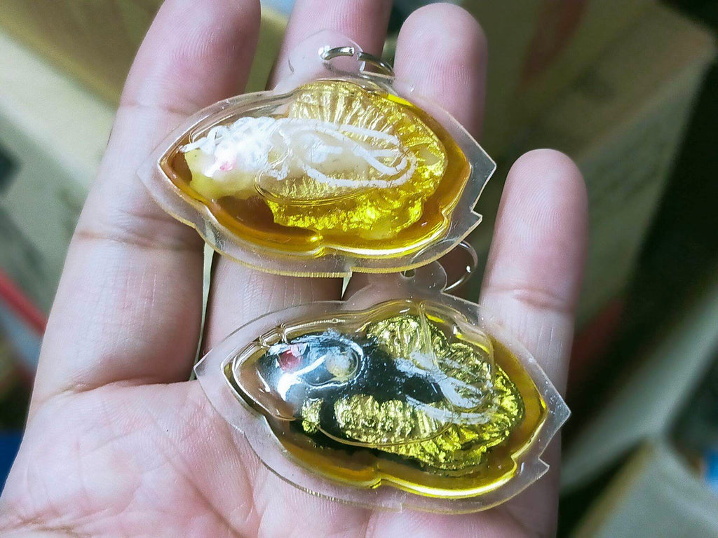 Authentic Pla Kad Sarapat Amulet - Powerful Pla Kad Sarapat Amulet by Luang Pho Mian Kallayano, Encased in Herbal Oil, 3.7x4.8 cm, Fully Consecrated