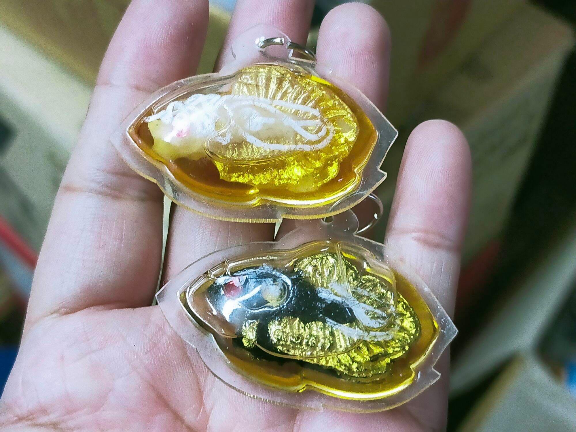Authentic Pla Kad Sarapat Amulet - Powerful Pla Kad Sarapat Amulet by Luang Pho Mian Kallayano, Encased in Herbal Oil, 3.7x4.8 cm, Fully Consecrated