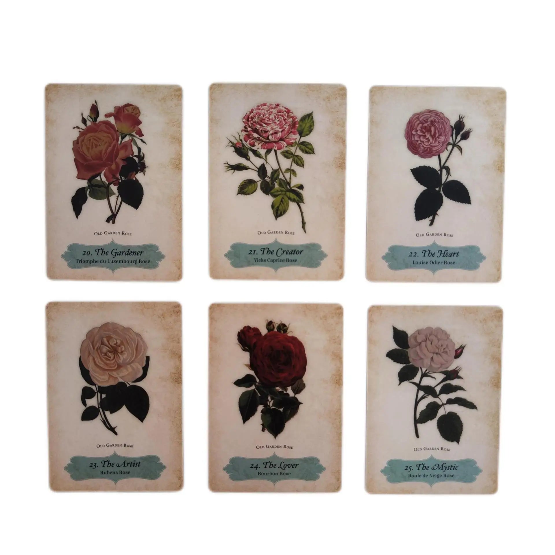 Oracle of The Roses – 44-Card Divinely Illustrated Botanical Oracle Deck for Spiritual Guidance & Family Party Games