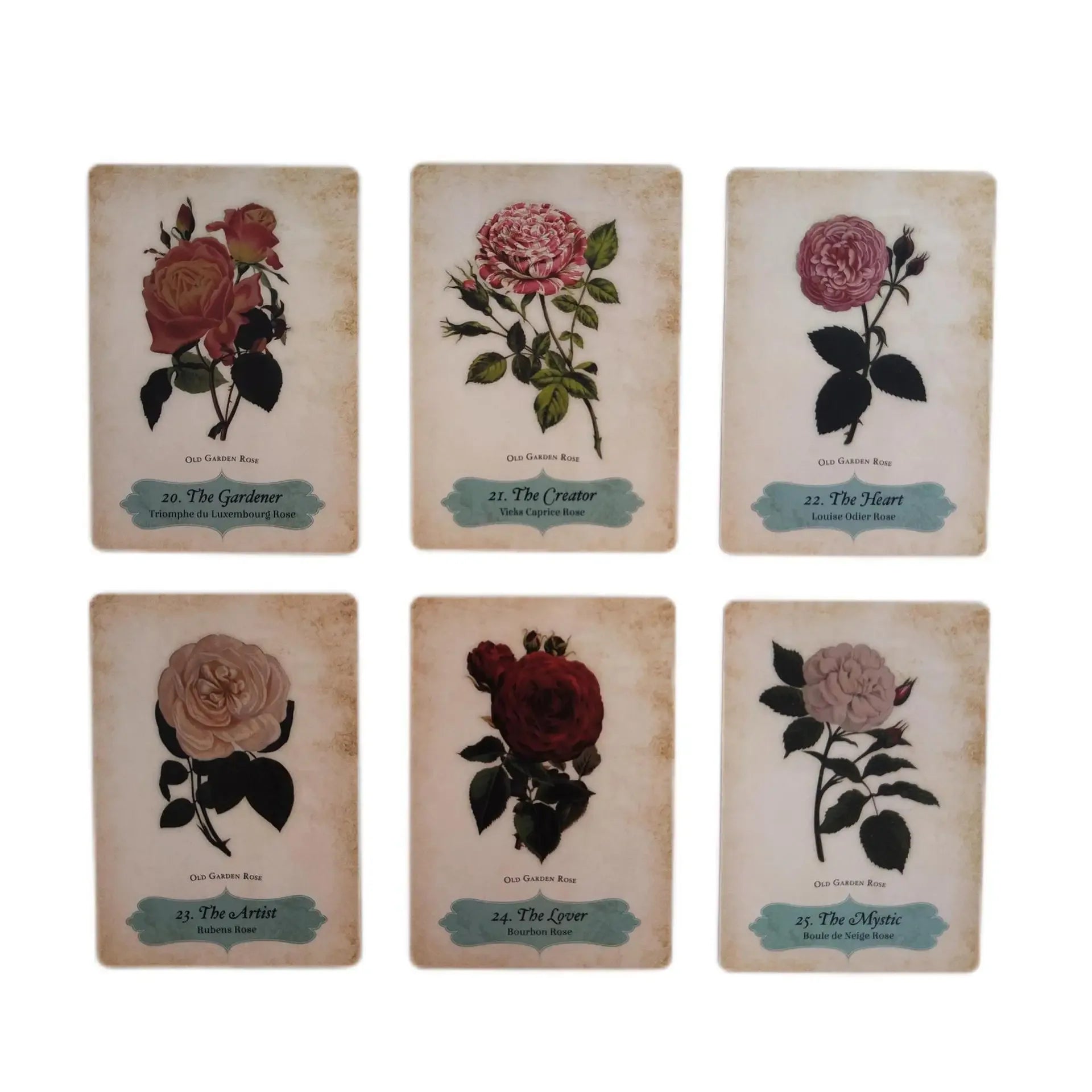 Oracle of The Roses – 44-Card Divinely Illustrated Botanical Oracle Deck for Spiritual Guidance & Family Party Games