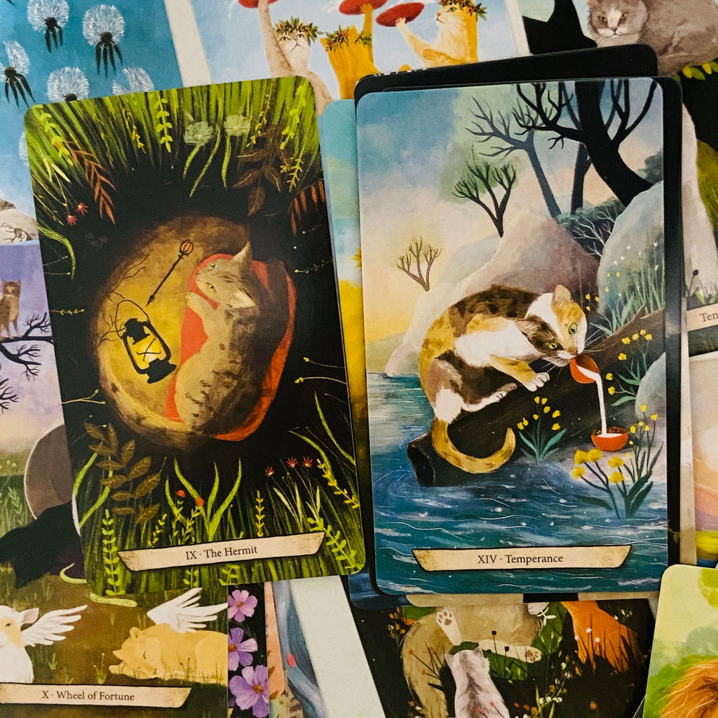 🃏 Enchanted Forest Felines Tarot Cards – 78 Cards Deck Featuring The Power of Cat-omancy, Perfect for Cat Lovers and Spiritual Readings