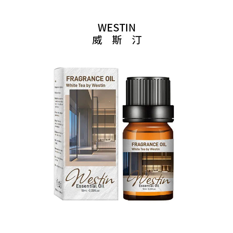 🚗 10ml Car Natural Plant Essential Oil – Water-Soluble Aromatic Refill for Auto Diffuser, Humidifier, and Air Freshener﻿ Westin
