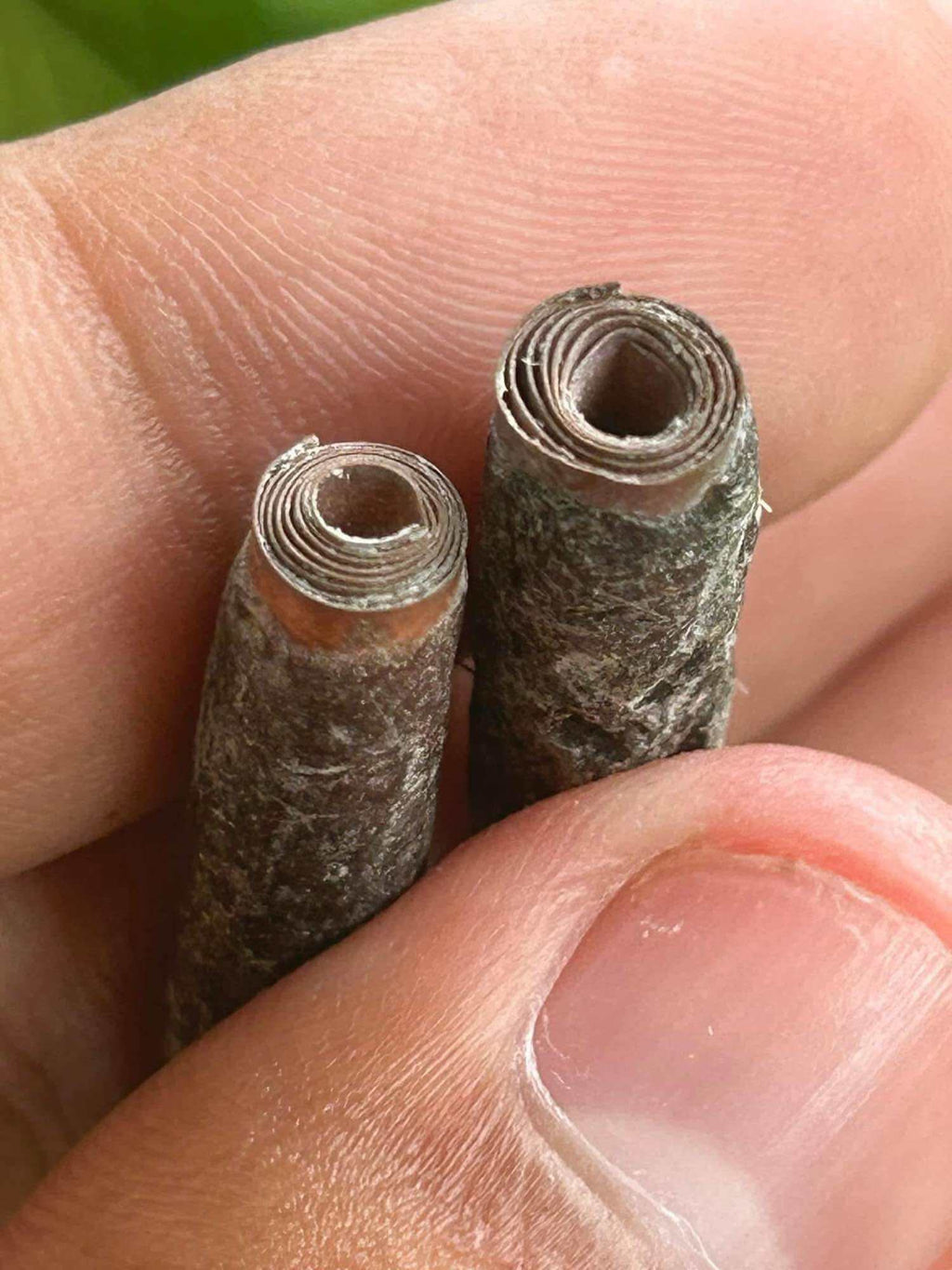 🌟 Legendary Takrut Phaya Suea Thao Non Kin﻿ Amulet by Phra Ajarn Prasuti – Master of the Ancient “Sleeping Tiger” Mystical Tradition from Wat Nai Tao, Trang 🌟