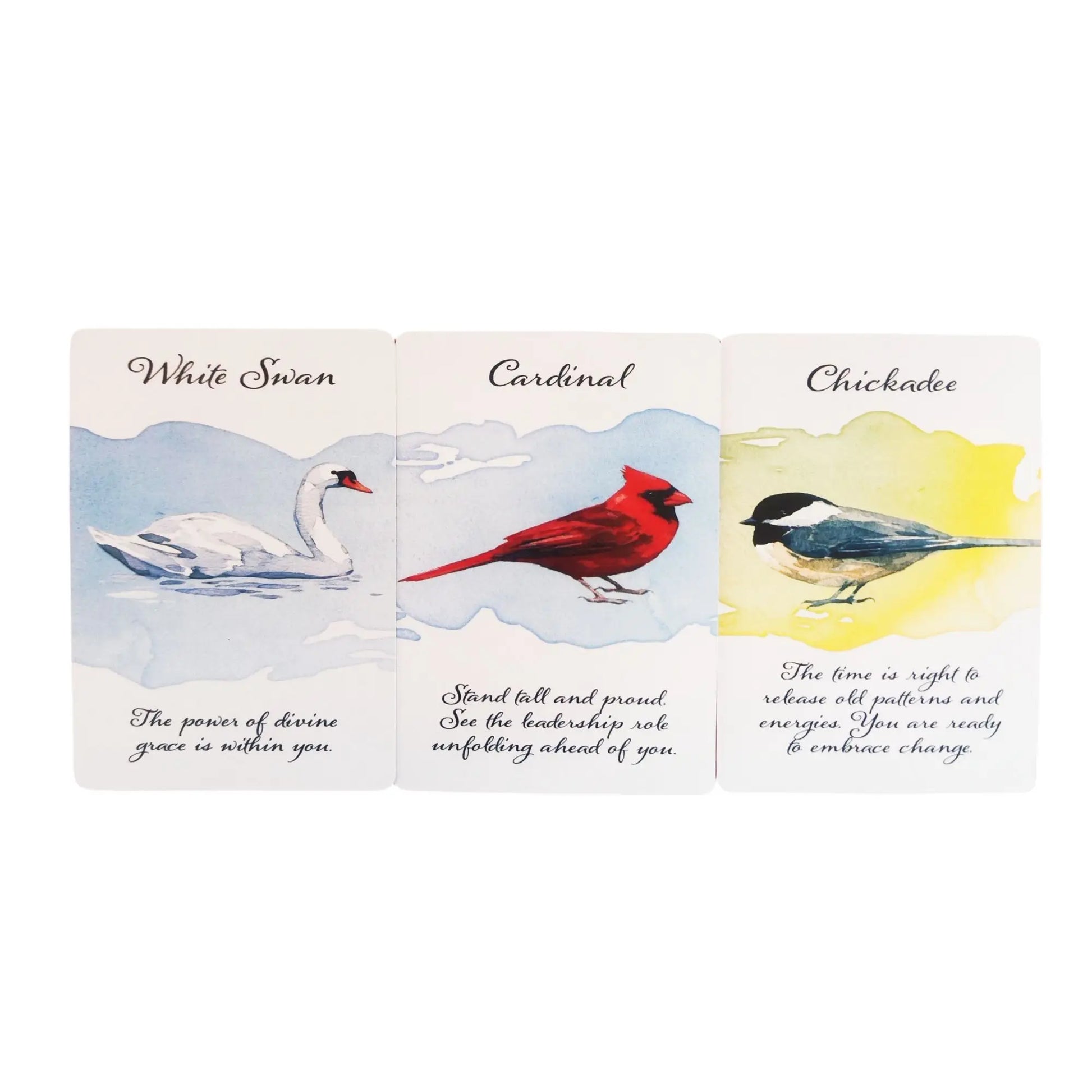 🔥Divine Feather Messenger Tarot Oracle Cards | 44 Bird Symbolism Cards, 10.4x7.3cm for Divination & Board Games