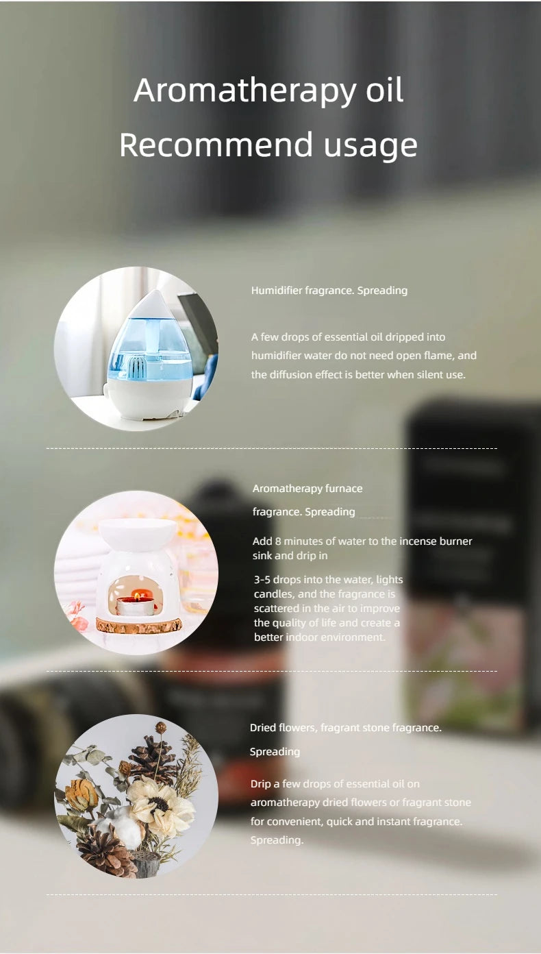 🌟 17 Flavors 10ml Essential Oils for Aroma Diffuser – Water-Soluble Natural Fragrance Oils for Home and AirHumidifier﻿