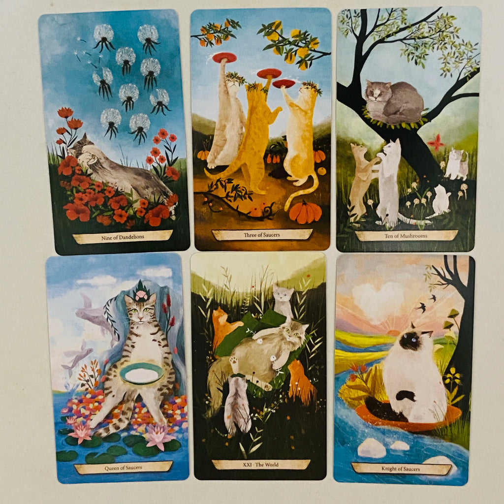 🃏 Enchanted Forest Felines Tarot Cards – 78 Cards Deck Featuring The Power of Cat-omancy, Perfect for Cat Lovers and Spiritual Readings