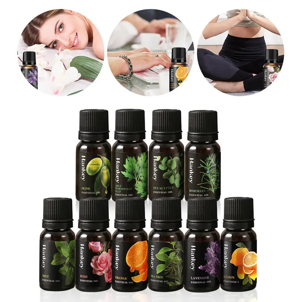 🌿 Aromatherapy Essential Oil Set – 10ml Bottles | Natural Plant Extracts | Lemon, Eucalyptus, Lavender, Jasmine, Rose, Mint, Orange | Diffuser, Humidifier & Air Freshener | Pure Fragrance for Relaxation & Wellness