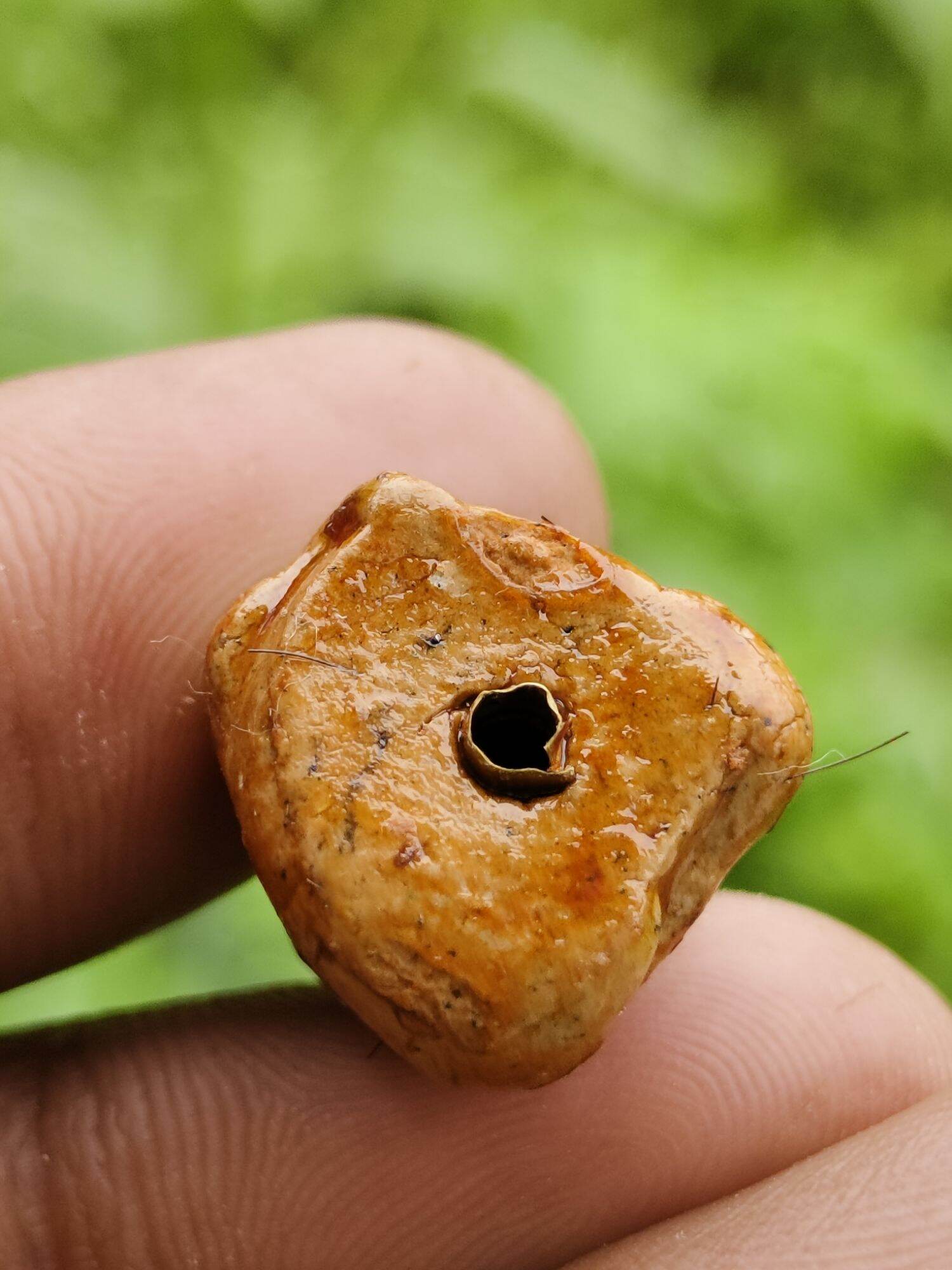 พระปิดตามหาลาภ เนื้อผงว่าน108 ฝังตะกรุด รุ่นแรก   หลวงพ่อปัญญา ตนฺติปาโล วัดโพธิ์ใหม่ จ.นครศรีธรรมราช

****พระอาทิตย์ทรงกรดขณะปลุกเสกพิธีพราหม วัตถุมงคลหลวงพ่อปัญญาวัดโพธิ์ใหม่จังหวัดนครศรีธรรมราช ได้ในพิธิปลุกเสกใหญ่ ในวันที่ 5 สิงหาคม 2567****

#เข้มขลั Default Title Thai Blessing Co By RURUECHA Default Title-