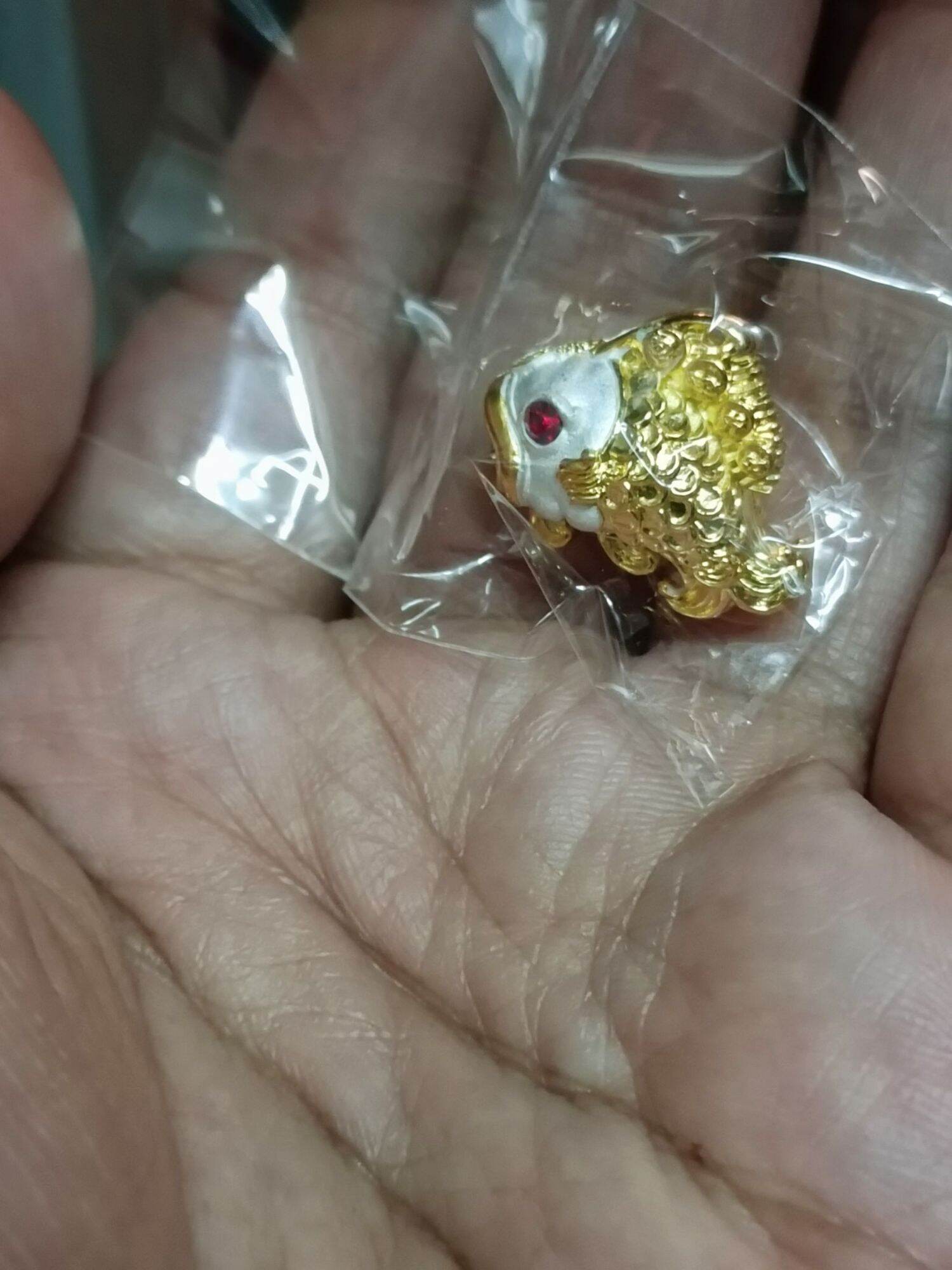 🐟 Boost Your Luck and Wealth Instantly with the Fortune-Enhancing Fish by Kruba Kham Peng!