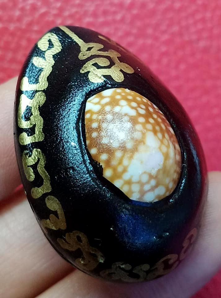 ✨ Sovereign Tiger King Astral Bia Gae: Ultimate Evil-Shielding & Supreme Authority Talisman – Mercury-Infused Sacred Cowrie by Luang Pu Pha (B.E. 2567-2568)