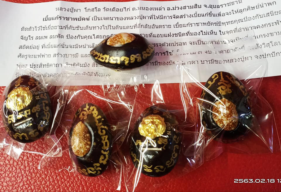✨ Sovereign Tiger King Astral Bia Gae: Ultimate Evil-Shielding & Supreme Authority Talisman – Mercury-Infused Sacred Cowrie by Luang Pu Pha (B.E. 2567-2568)