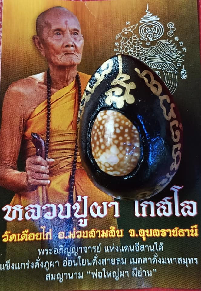 ✨ Sovereign Tiger King Astral Bia Gae: Ultimate Evil-Shielding & Supreme Authority Talisman – Mercury-Infused Sacred Cowrie by Luang Pu Pha (B.E. 2567-2568)