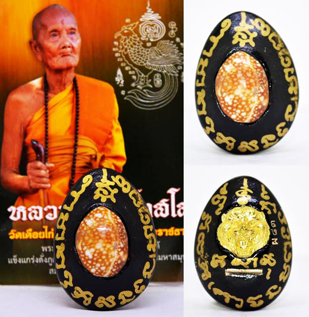 ✨ Sovereign Tiger King Astral Bia Gae: Ultimate Evil-Shielding & Supreme Authority Talisman – Mercury-Infused Sacred Cowrie by Luang Pu Pha (B.E. 2567-2568)