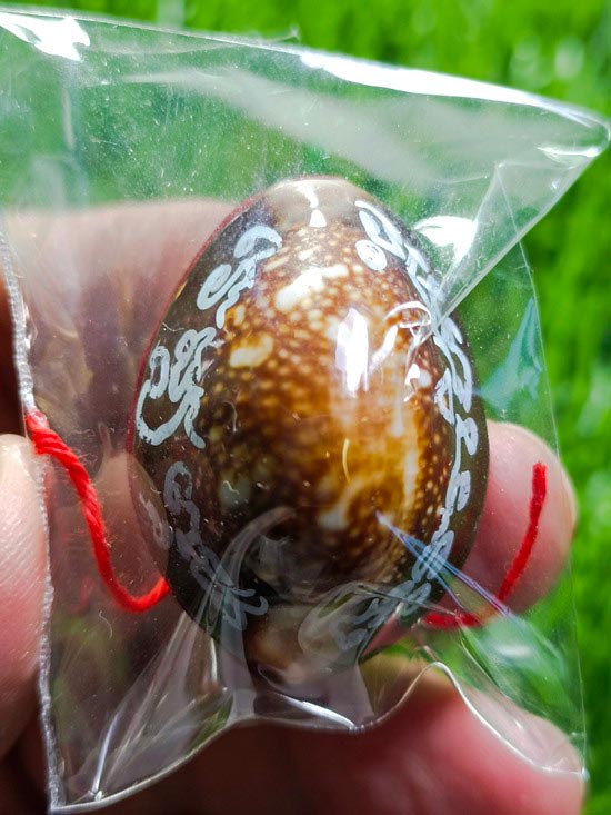 ✨ Sovereign Vessuwan Millionaire Bia Gae: The Ultimate Evil-Shielding & Wealth-Commanding Sacred Cowrie (Luang Pu Tha Edition B.E. 2565)