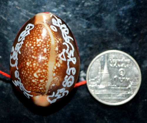 ✨ Sovereign Vessuwan Millionaire Bia Gae: The Ultimate Evil-Shielding & Wealth-Commanding Sacred Cowrie (Luang Pu Tha Edition B.E. 2565)
