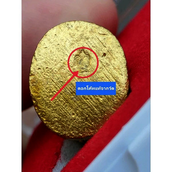 🐯 “Supreme Tiger of Power” – Luang Pho Pern Wat Bang Phra 2017 Tiger Amulet for Strength, Protection & Fearless Success