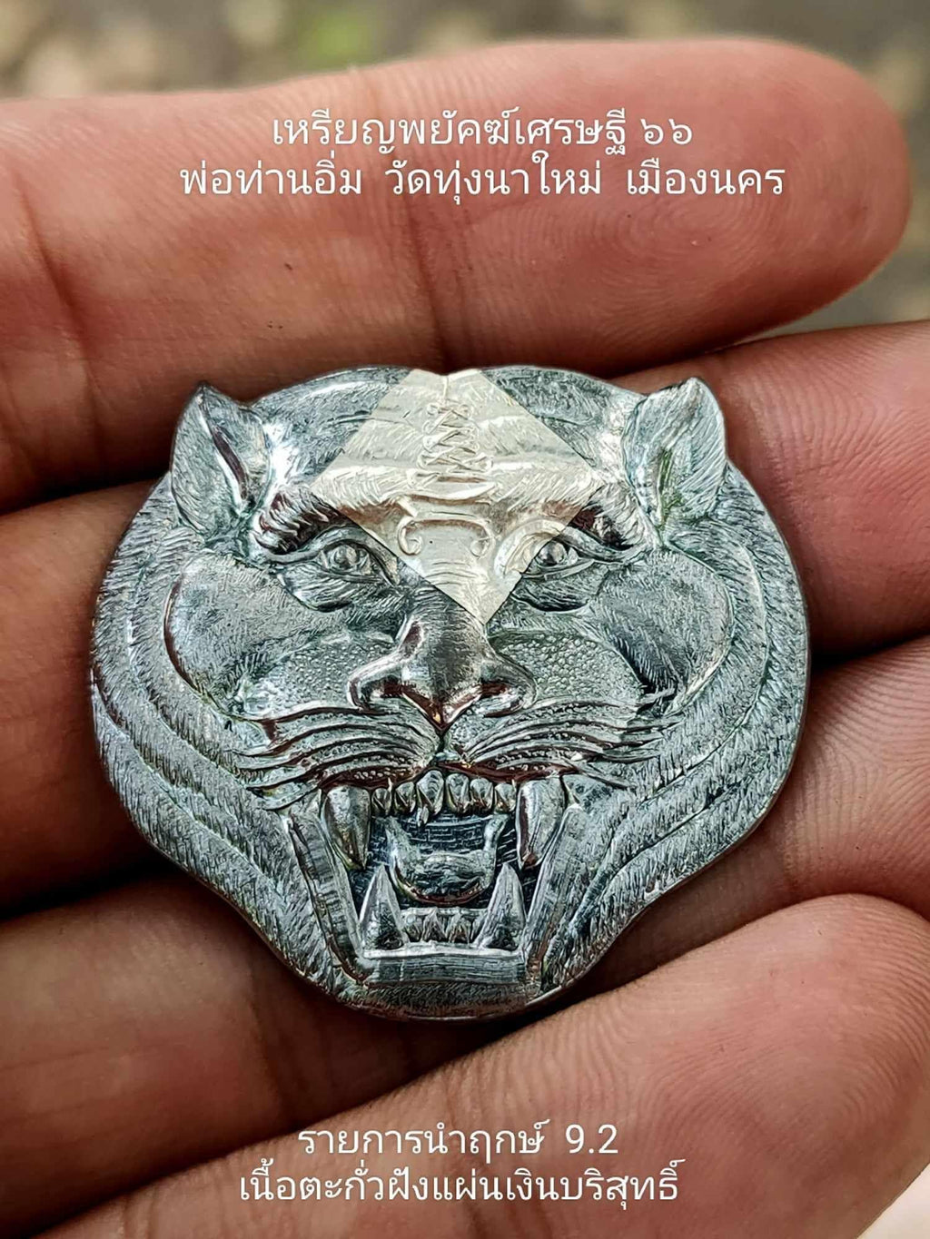 🧿 Supreme “Billionaire Tiger 66” Amulet – Courage, Protection & Wealth Magnet Talisman by Phor Than Im, Thung Na Mai Temple (Nakhon Si Thammarat)