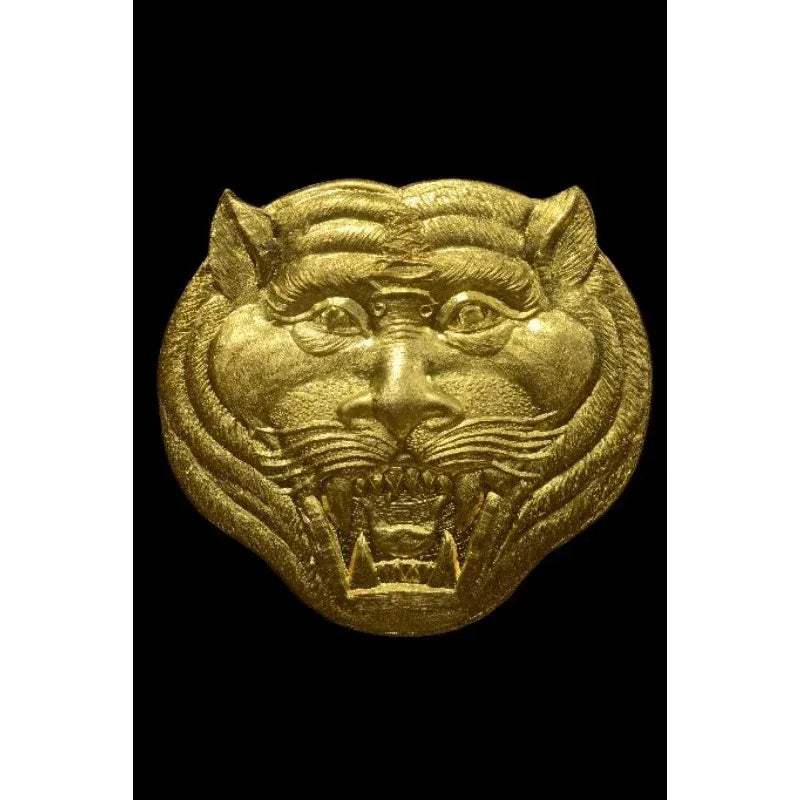 🧿 Supreme “Billionaire Tiger 66” Amulet – Courage, Protection & Wealth Magnet Talisman by Phor Than Im, Thung Na Mai Temple (Nakhon Si Thammarat) Thongthip