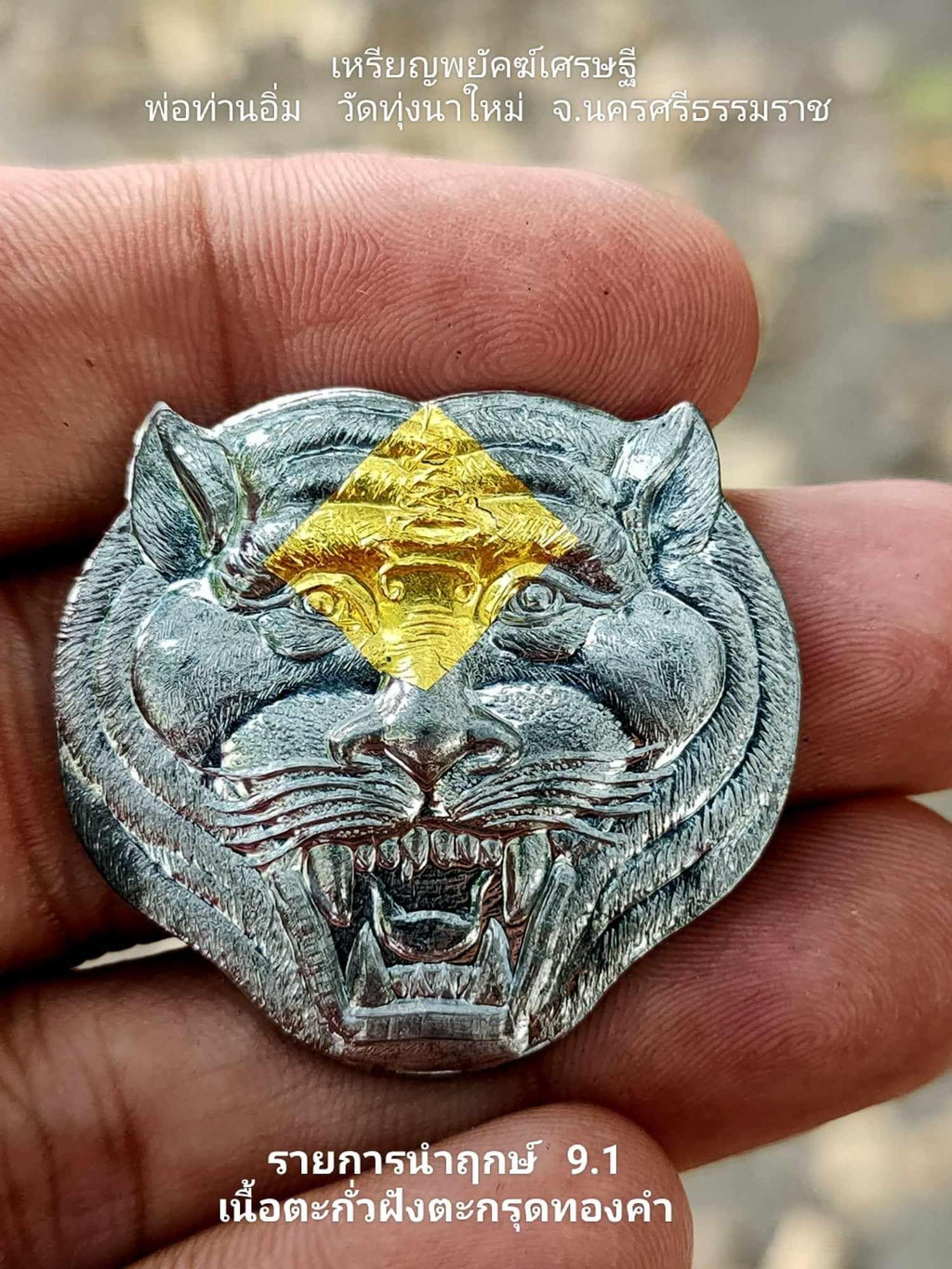 🧿 Supreme “Billionaire Tiger 66” Amulet – Courage, Protection & Wealth Magnet Talisman by Phor Than Im, Thung Na Mai Temple (Nakhon Si Thammarat)