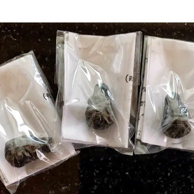 💎 THE MASTER’S EMBRACE: Phra Pidta "Punneng" — Hand-Molded Itthije Powder of Luang Phor Kaew (Wat Kheruawan) 2015