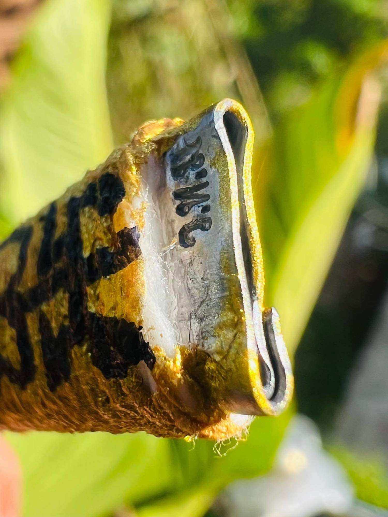 🗡️ Takrud Spirit Knife "Sorcerer Slayer" (Mit Mor Prab Arkom) – Anti-Black Magic & Ghost Protection by Luang Pu Im