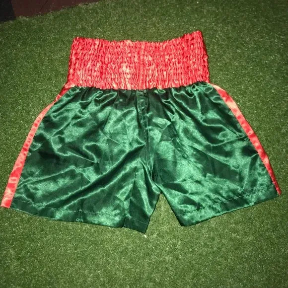 🥊The Apex Striker: Premium Side-Striped Muay Thai Shorts – Authentic Kanok Embroidered Satin Trunks, Quick-Dry Double-Layered Export Grade for Adults and Kids