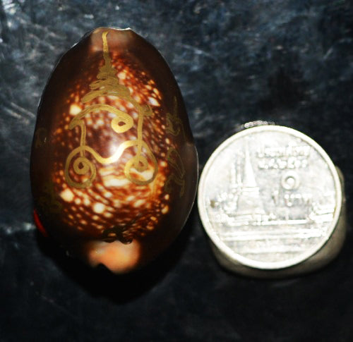 🏆 The Sovereign Millionaire: "Bia Jujaka" Golden Bronze Success Shell — The 2026 Ultimate Wealth Magnet & Fortune Catalyst (Phra Ajahn Amnat Mahawiro Edition)