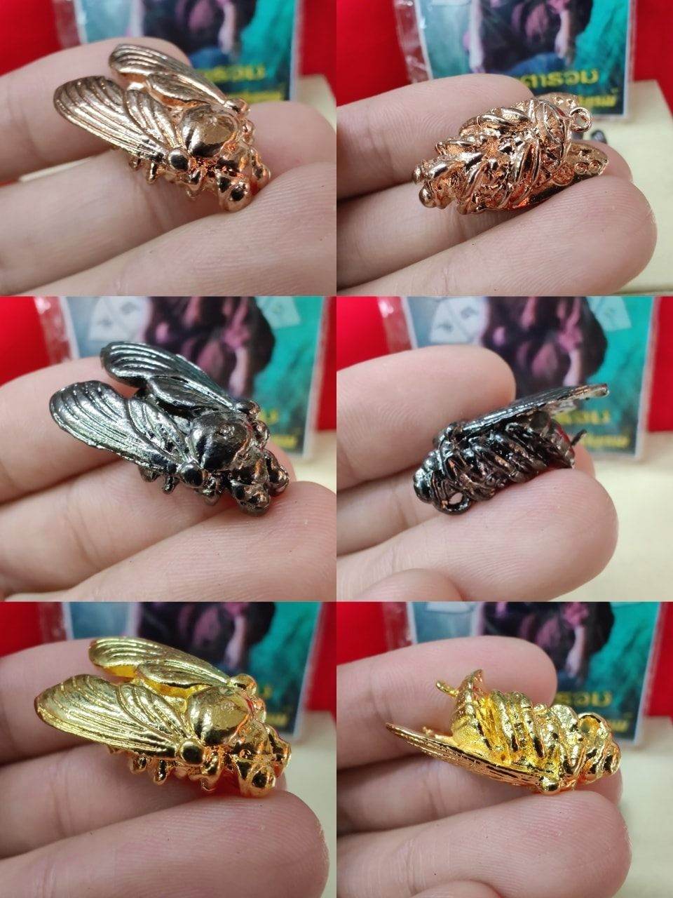 Wealth Bumblebee Amulet - Luang Ta Ruam from Wat Khok Samran |招财蜜蜂圣物 |龙达鲁昂高僧 |碧差汶府萨姆兰寺