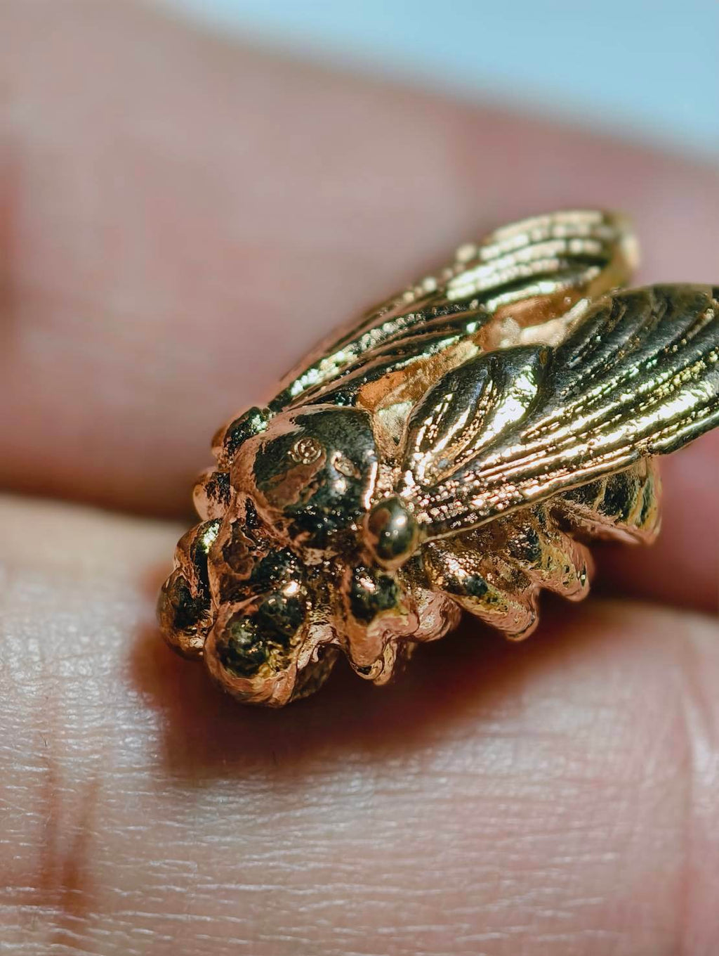 Wealth Bumblebee Amulet - Luang Ta Ruam from Wat Khok Samran |招财蜜蜂圣物 |龙达鲁昂高僧 |碧差汶府萨姆兰寺