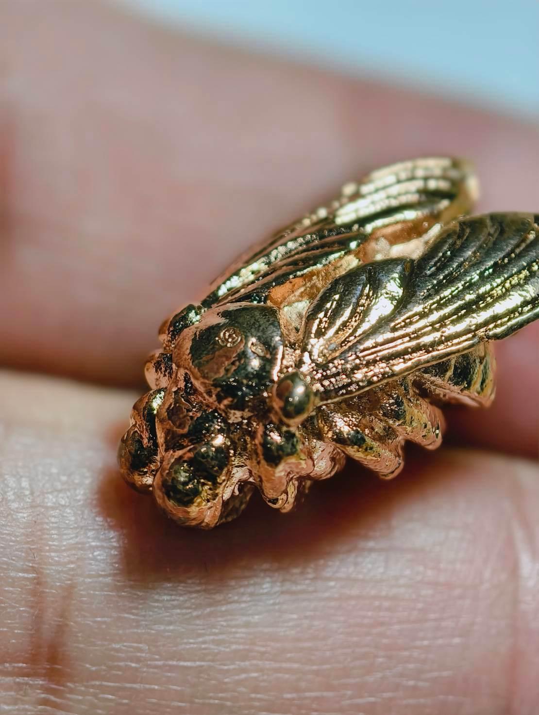 Wealth Bumblebee Amulet - Luang Ta Ruam from Wat Khok Samran |招财蜜蜂圣物 |龙达鲁昂高僧 |碧差汶府萨姆兰寺