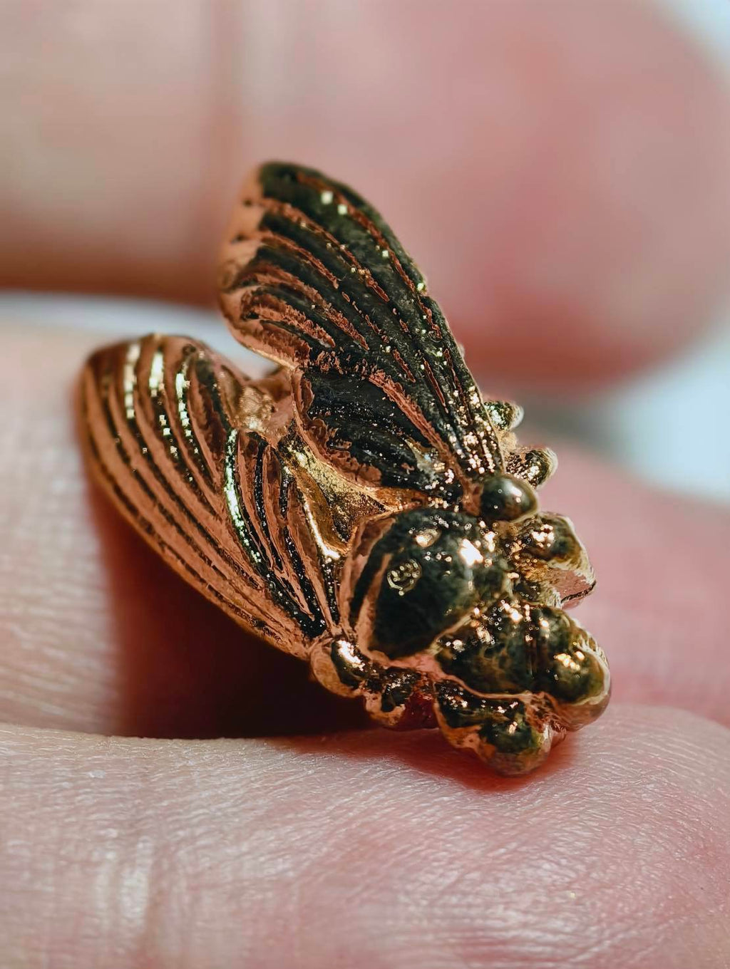 Wealth Bumblebee Amulet - Luang Ta Ruam from Wat Khok Samran |招财蜜蜂圣物 |龙达鲁昂高僧 |碧差汶府萨姆兰寺