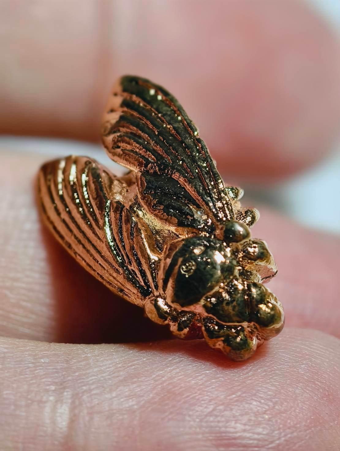 Wealth Bumblebee Amulet - Luang Ta Ruam from Wat Khok Samran |招财蜜蜂圣物 |龙达鲁昂高僧 |碧差汶府萨姆兰寺