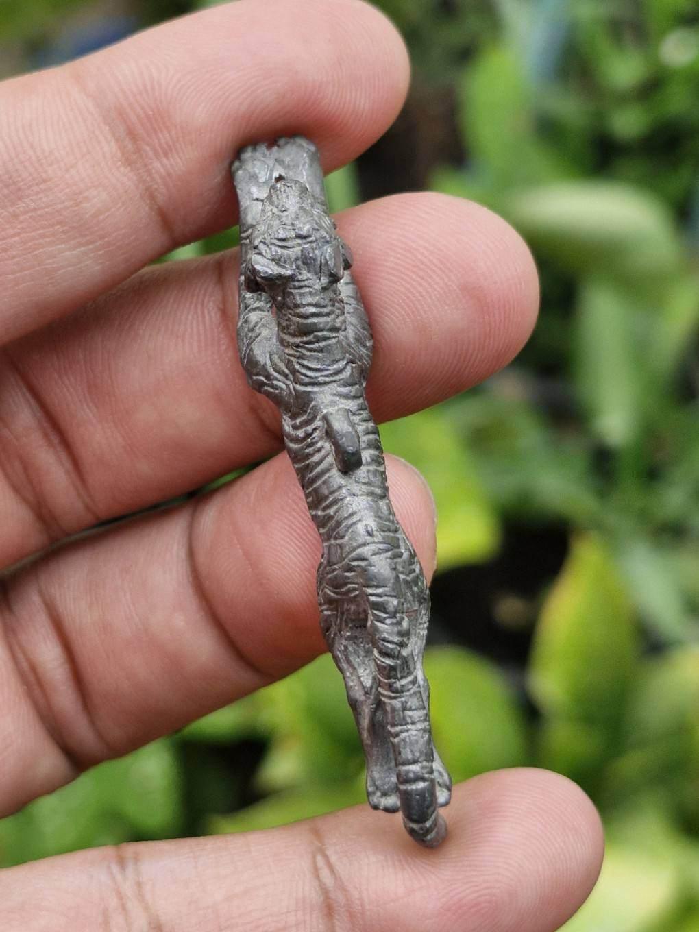 Tiger Puen Tak Amulet - Gun-Bullet Defying Sacred Amulet of Power and Protection by Luang Por Liab, Wat Na Wong