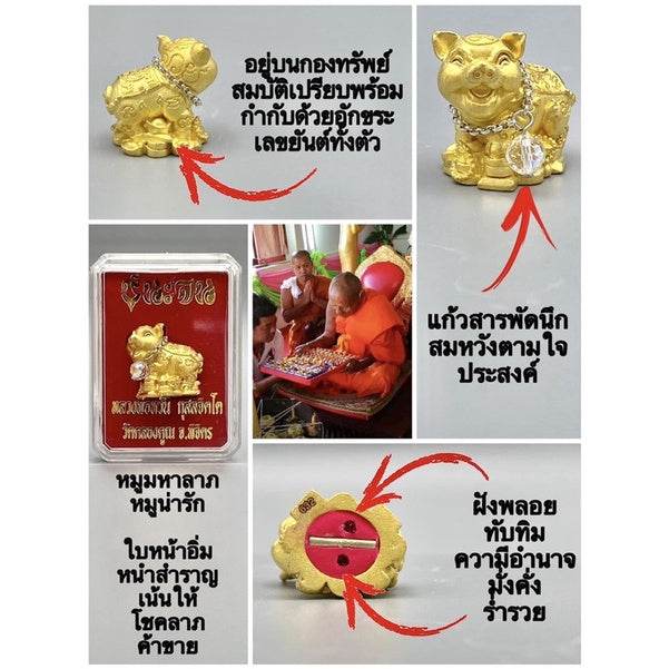 Thai lucky prosperity pig collectible gold figurine with amulet charm in gift box and blessing ceremony