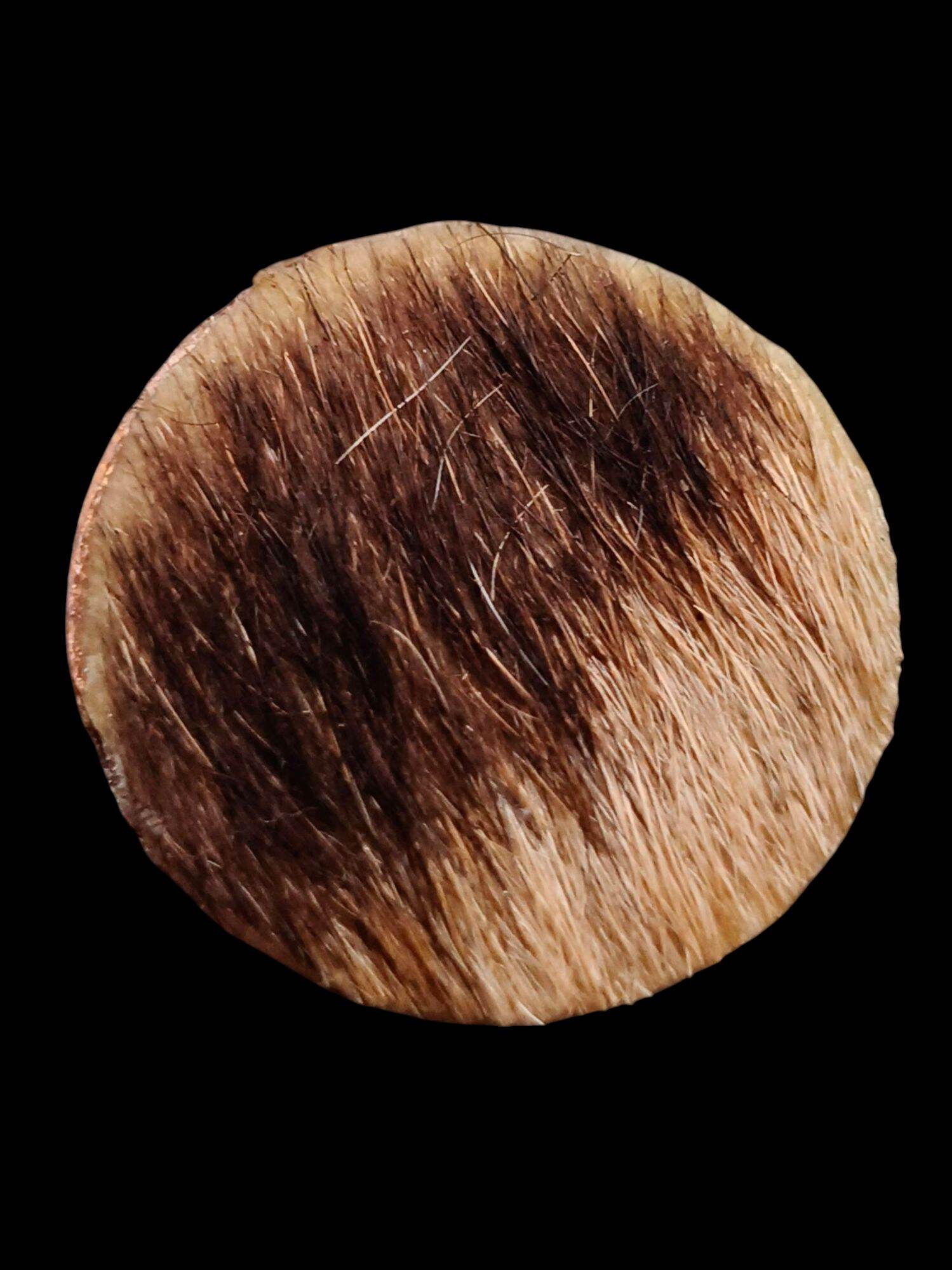 Thai tiger amulet for power and protection round fur pendant by Thai Blessing Co showing natural fur texture