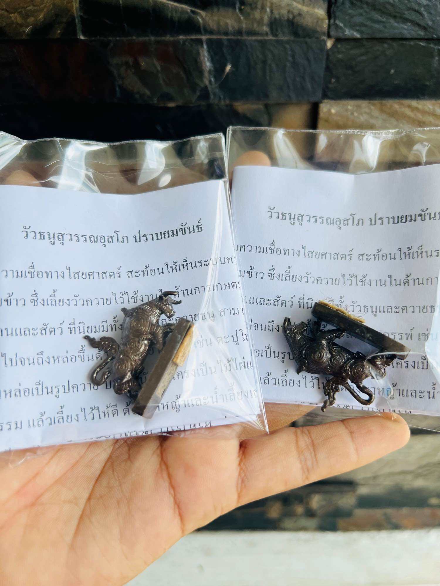 Wua Thanu Thai protection amulet bronze ox talisman in plastic pouch with certificate held in hand