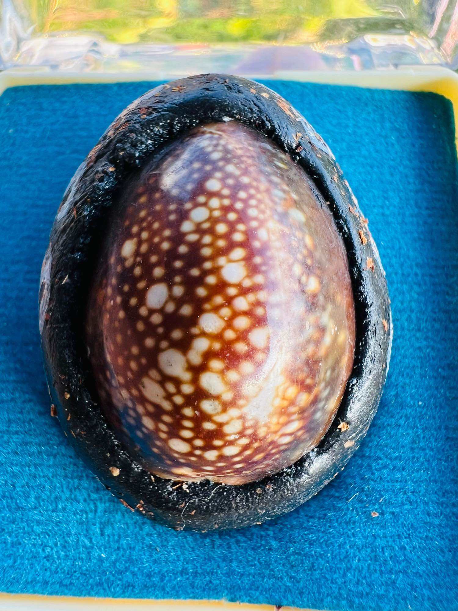 Authentic Bia Gae Lord Vaisravana Amulet for Ultimate Protection and Wealth