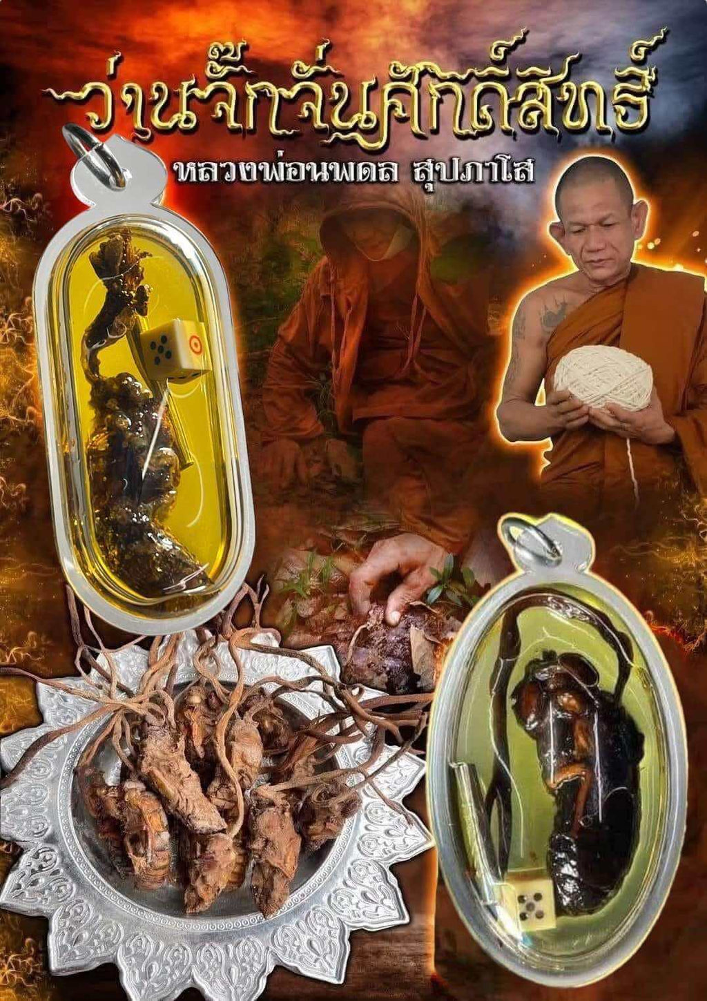 Authentic Thai Amulet for Luck - Cicada Herb Wan Jakjan for Attraction
