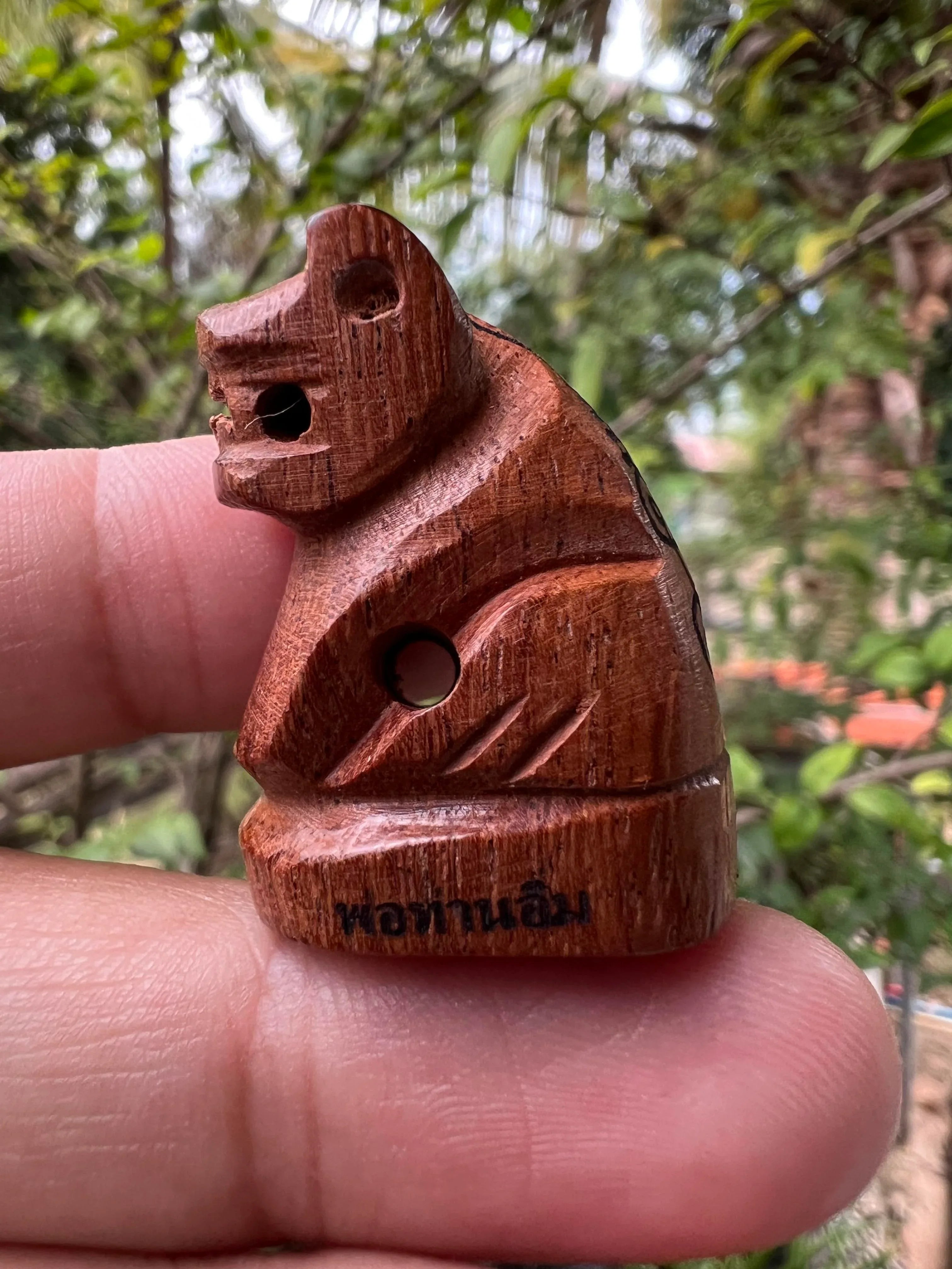 Sacred Tiger Carving Takian Wood by Luang Pu Im Panyawuttho | 106-Year Legacy Artwork from Wat Thung Na Mai