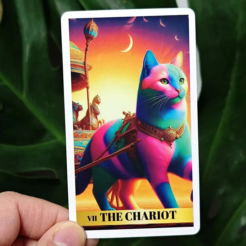 Colorful Cat Tarot Deck – 78 Vibrant Cards Bursting with Charm, Perfect for Beginners, 10.3 x 6 cm