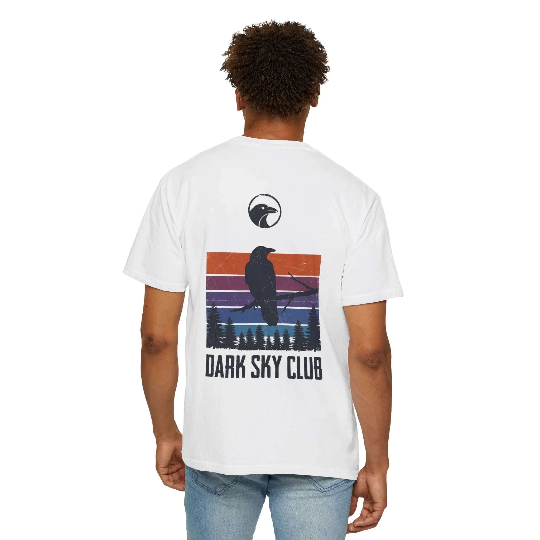 Dark Sky Club Raven Shirt, Vintage Retro Sunset Stripes, Crow Silhouette Graphic Tee, Gothic Witchy Nature Gift