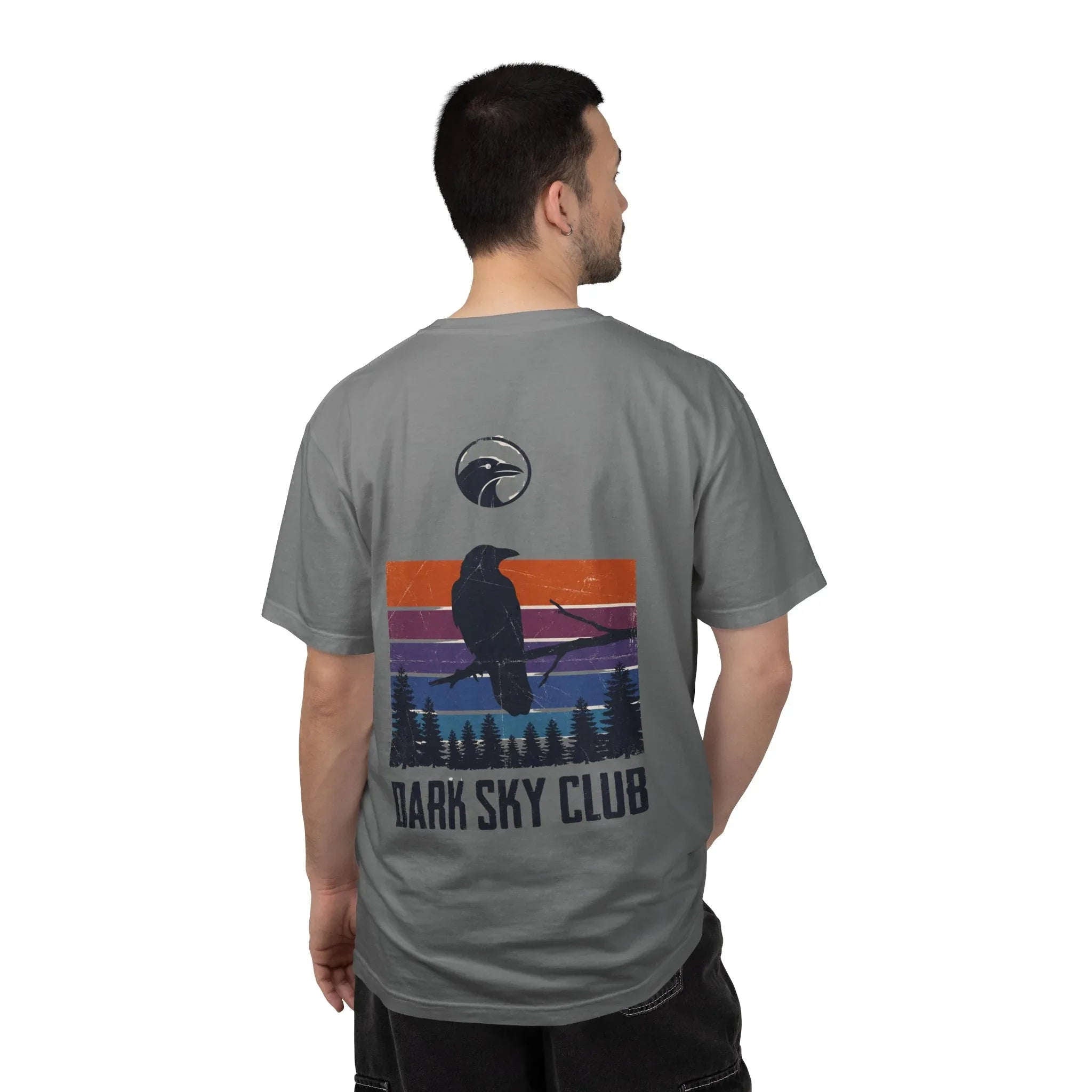 Dark Sky Club Raven Shirt, Vintage Retro Sunset Stripes, Crow Silhouette Graphic Tee, Gothic Witchy Nature Gift Grey