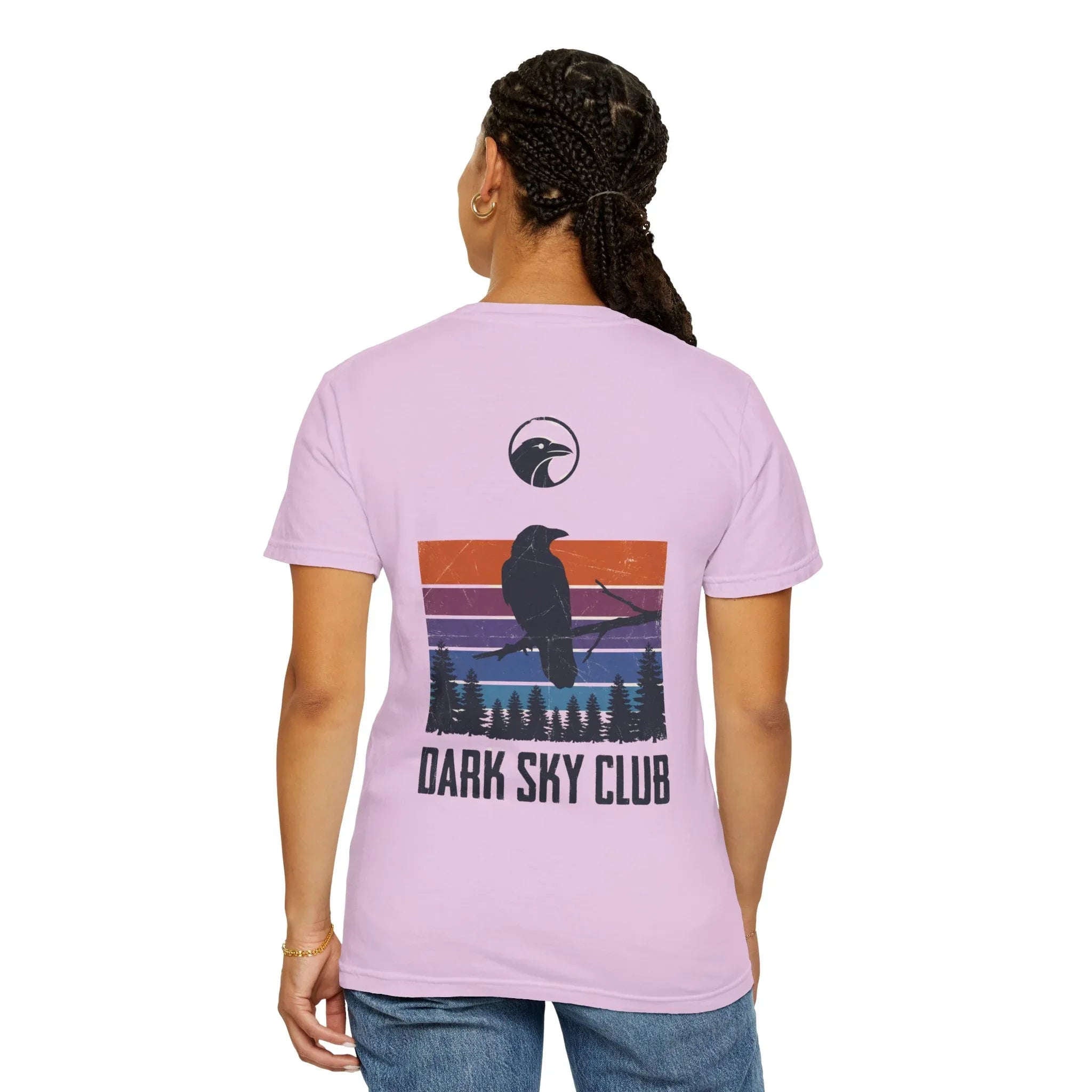 Dark Sky Club Raven Shirt, Vintage Retro Sunset Stripes, Crow Silhouette Graphic Tee, Gothic Witchy Nature Gift