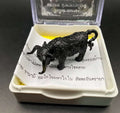 Divine Nonti Maha Supachok - Sacred Bull Nonti Supachok for Wealth, Protection, and Prosperity Blackened metal