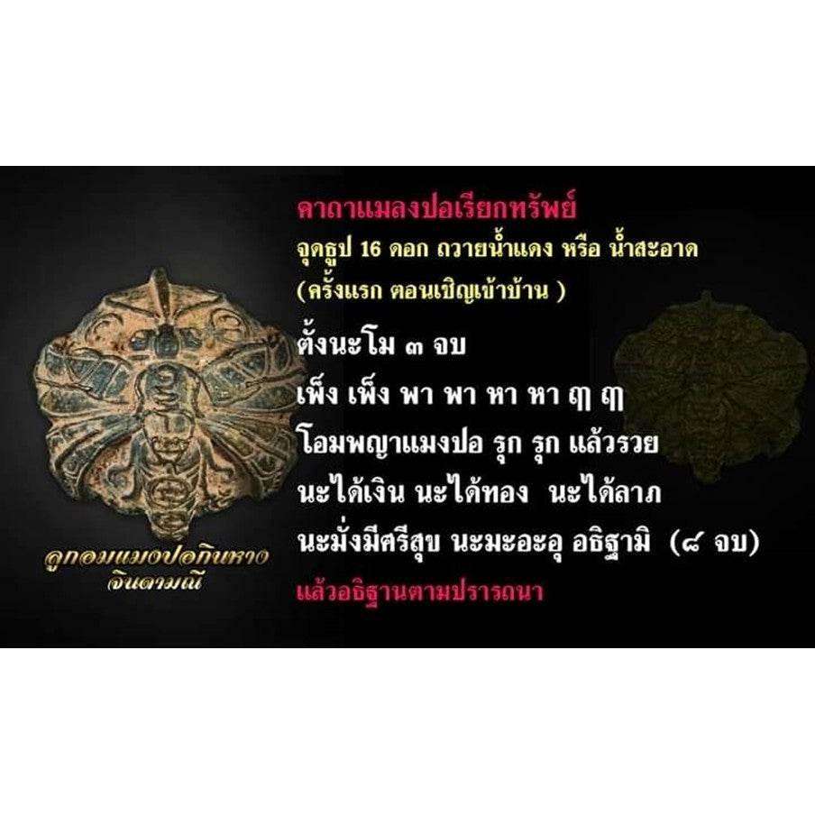 Dragonfly Ouroboros Amulet - Luang Pu Sak Samahito Symbol for Endless Prosperity, Wealth, Love & Protection - Limited Edition Series 2