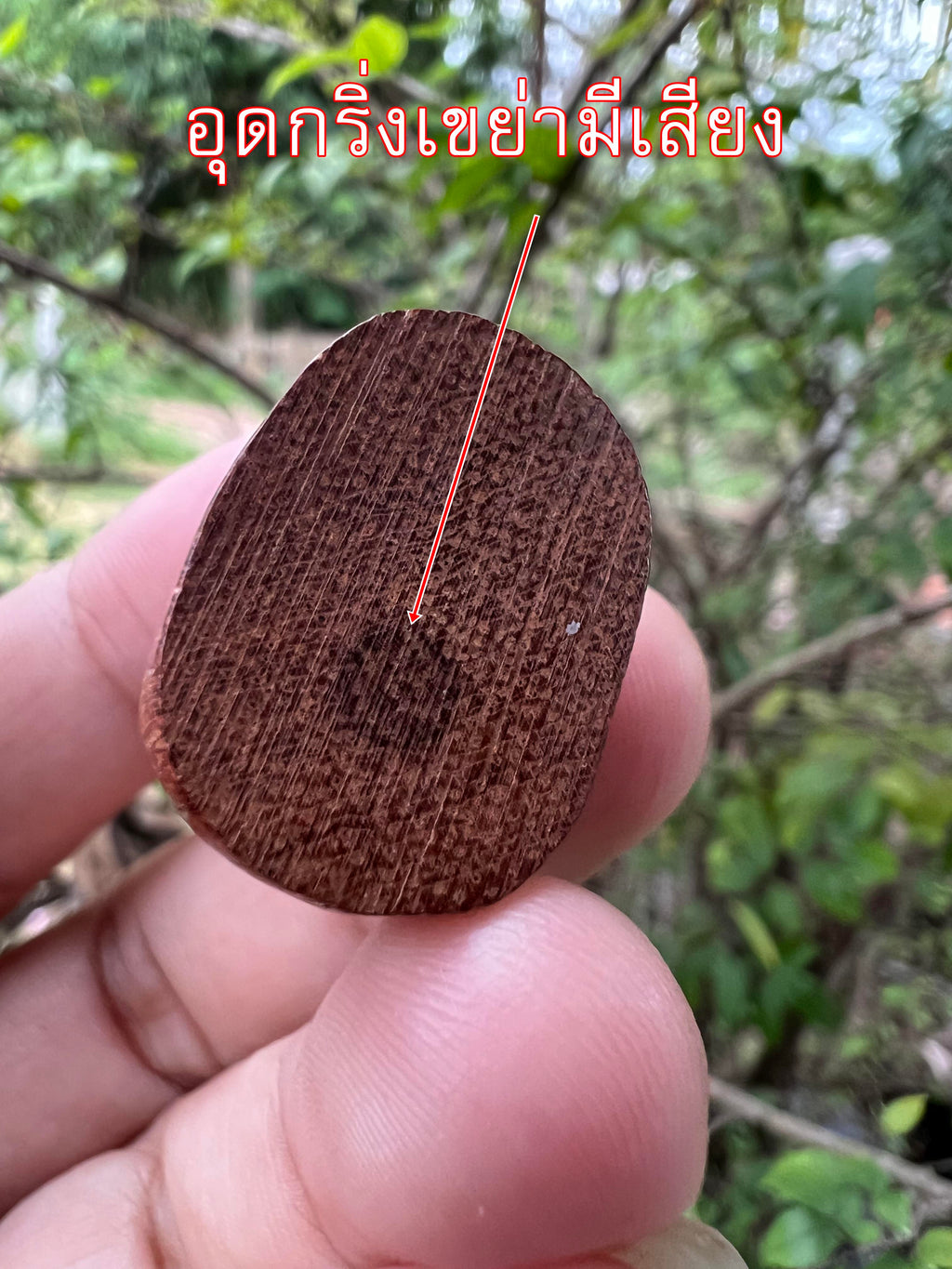 Sacred Tiger Carving on Takian Wood by Luang Pu Im Panyawuttho | Wat Thung Na Mai, Nakhon Si Thammarat | Celebrating Lifetime Legacy at 106 Years